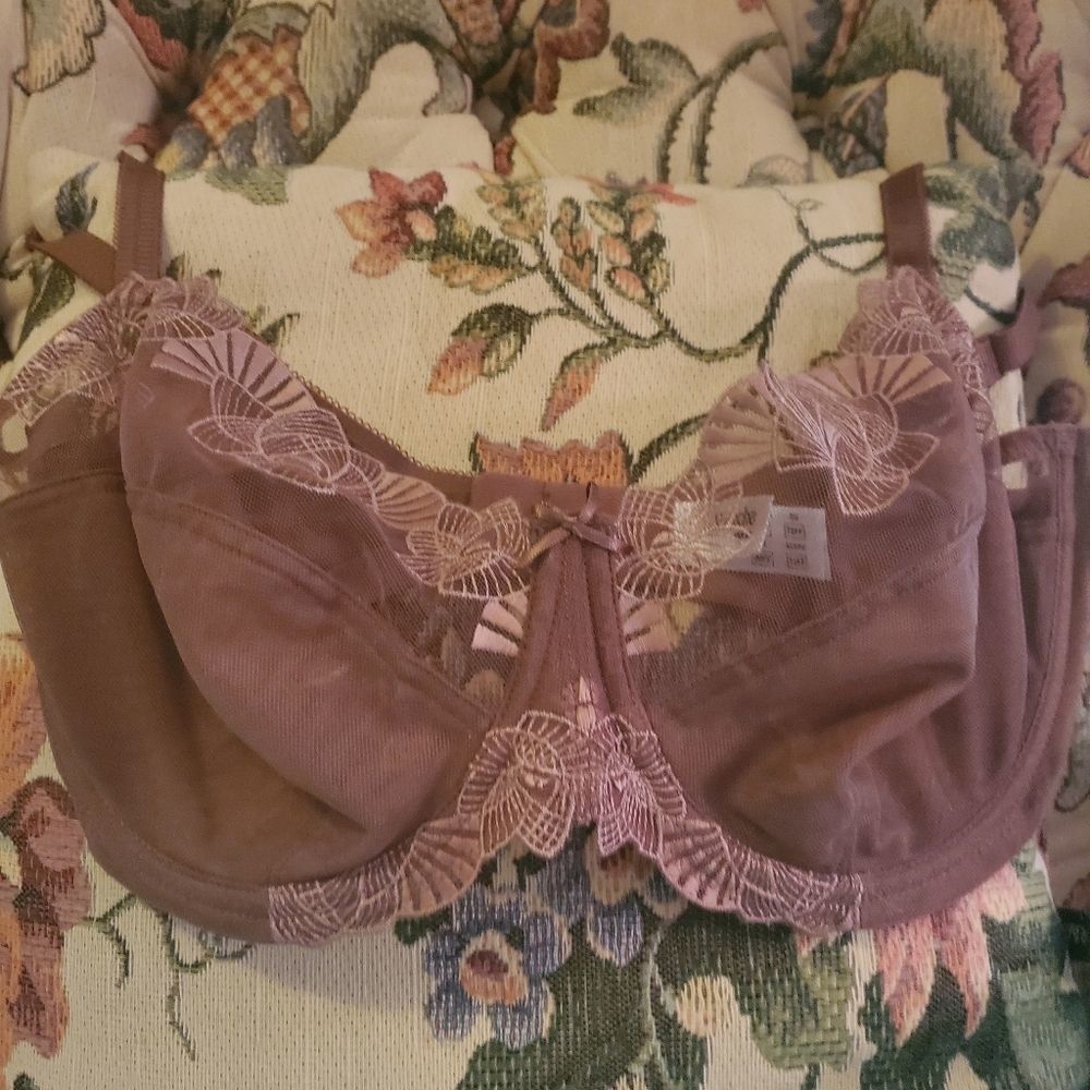 Panache Lace Bra in Brown